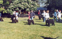 nationale d'élevage 2004